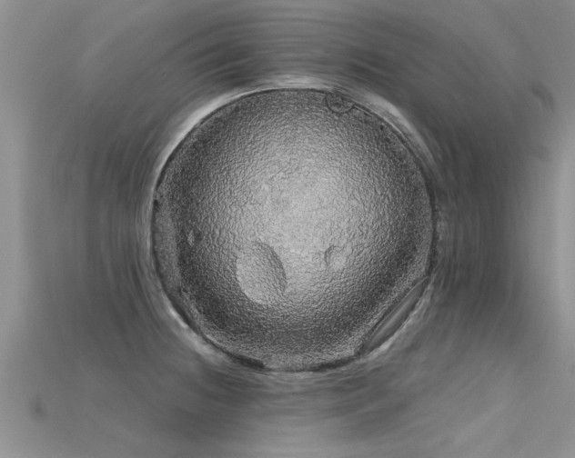 X0000115691236200911121301
