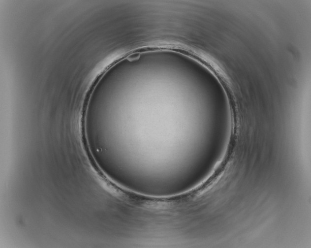 X0000115691237200911121301