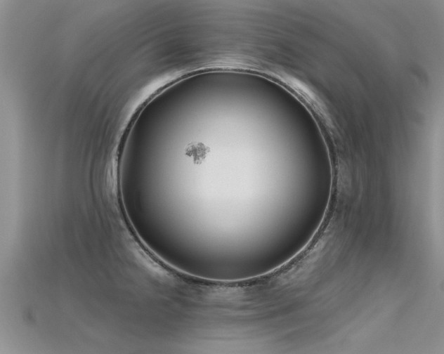 X0000115691238200911121301