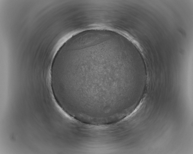X0000115691239200911121301
