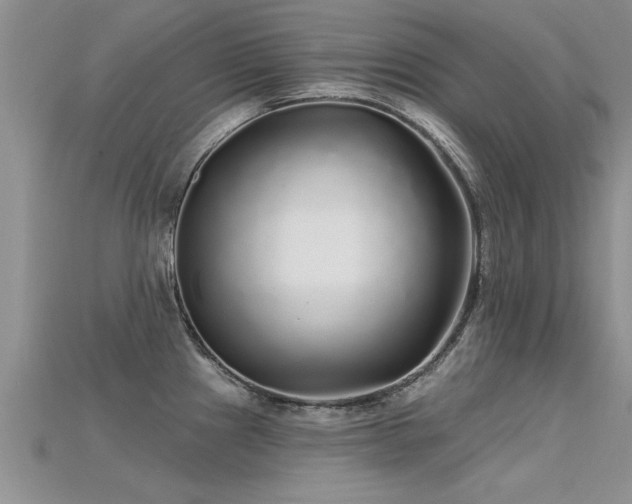 X0000115691241200911121301