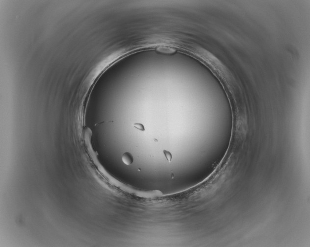 X0000115691242200911121301