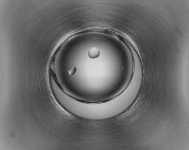 X0000115691243200911121301