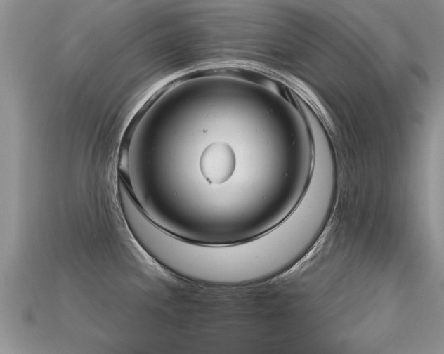 X0000115691244200911121301