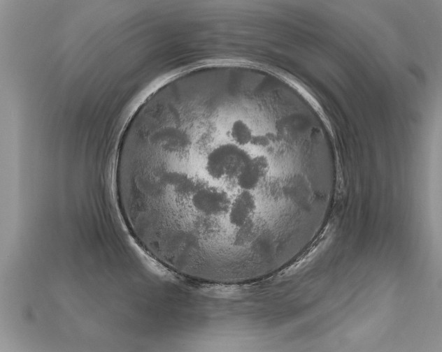 X0000115691245200911121301