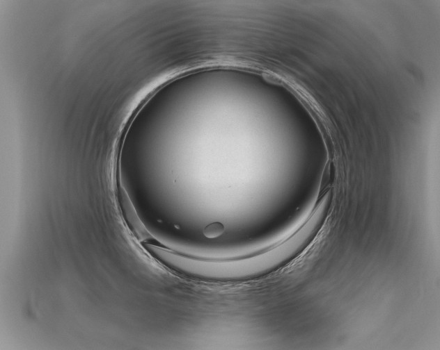 X0000115691246200911121301