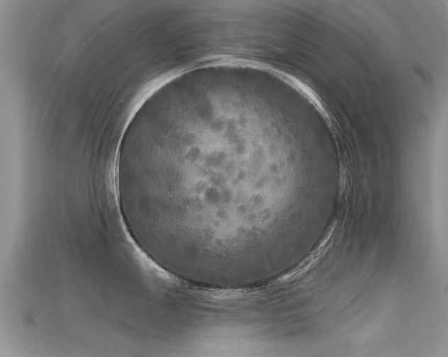 X0000115691247200911121301
