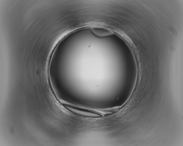 X0000115691248200911121301