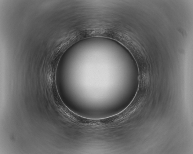 X0000115691250200911121300