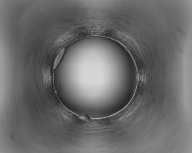X0000115691252200911121300
