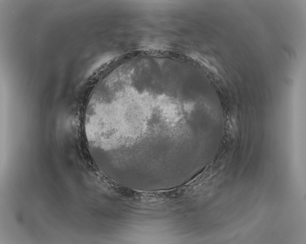 X0000115691254200911121300