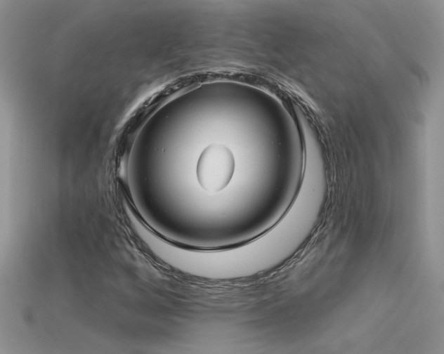 X0000115691256200911121300