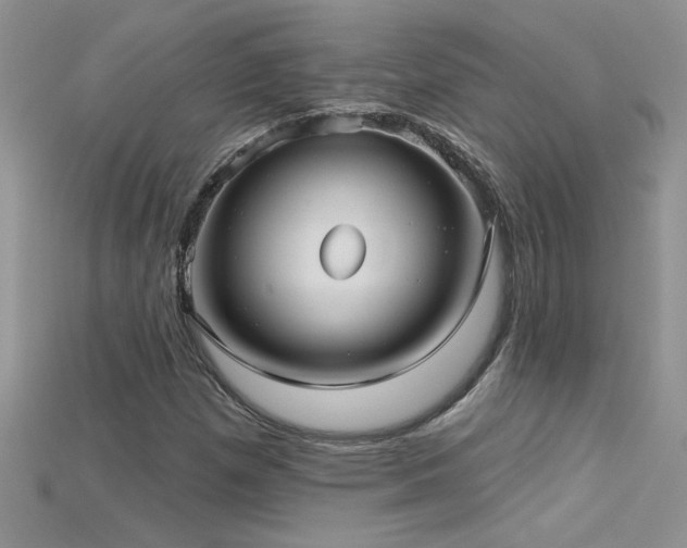 X0000115691257200911121300