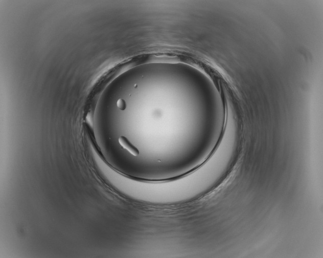X0000115691259200911121300