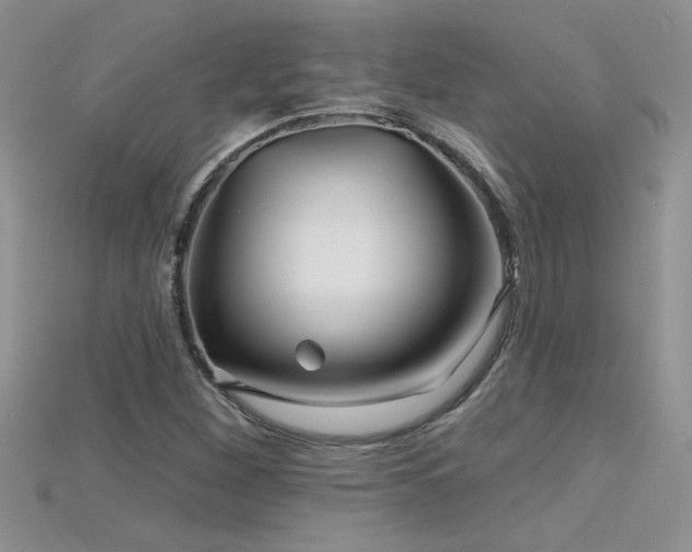 X0000115691260200911121300