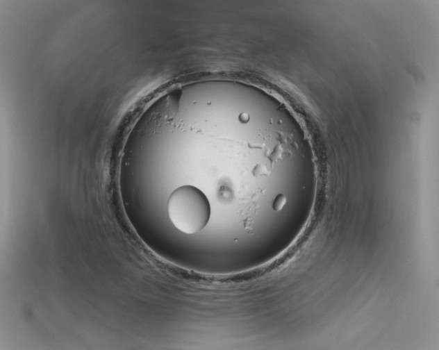 X0000115691261200911121300