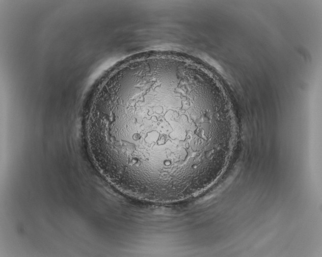 X0000115691263200911121300