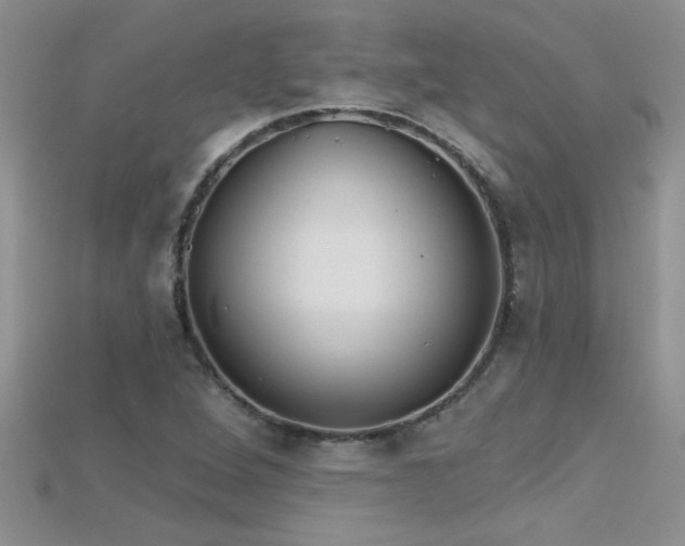 X0000115691264200911121300