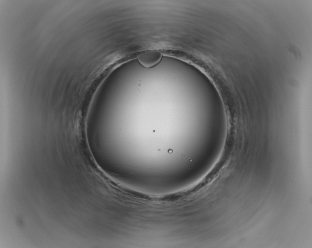 X0000115691265200911121300