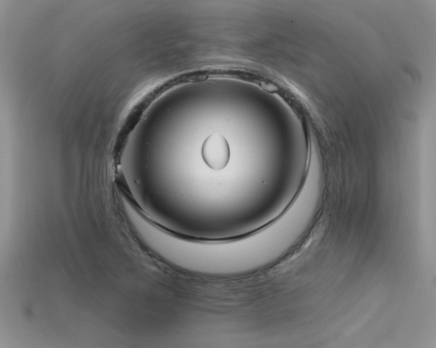 X0000115691267200911121300