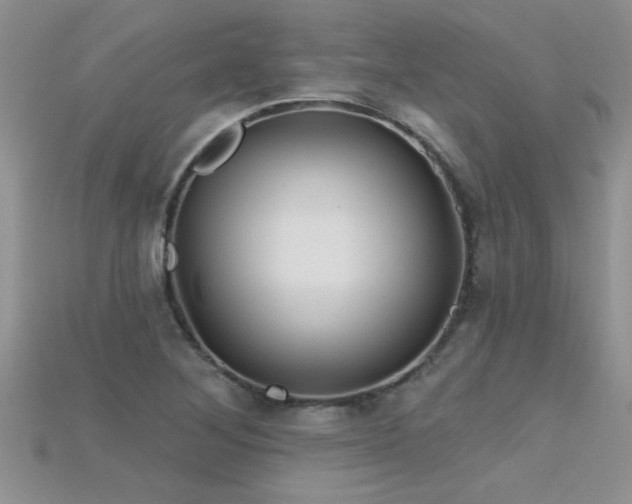 X0000115691268200911121300