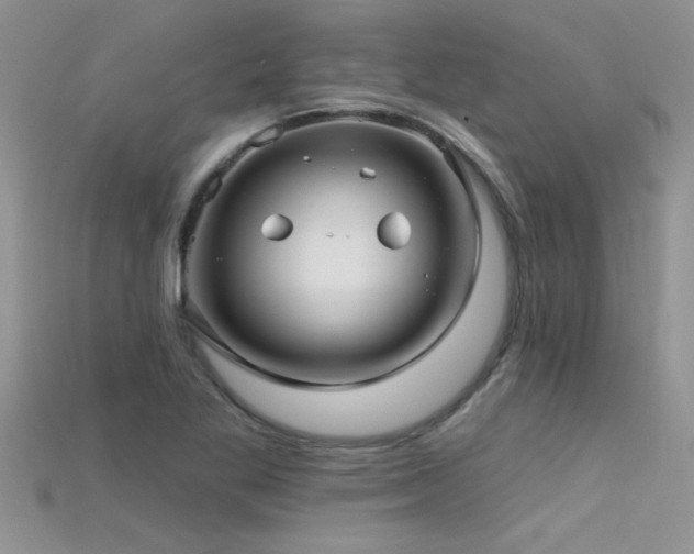 X0000115691269200911121300