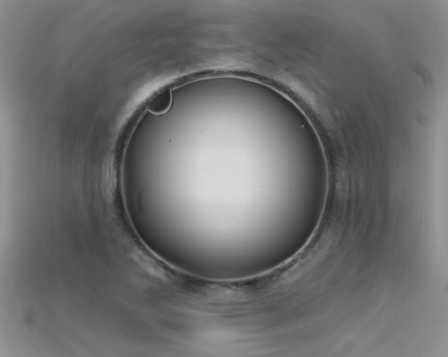 X0000115691270200911121300