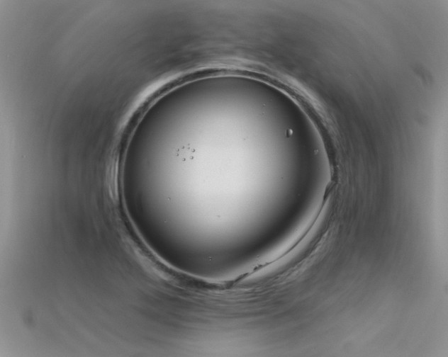 X0000115691272200911121300