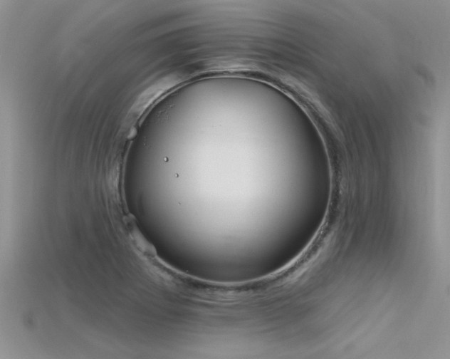 X0000115691273200911121300