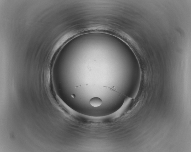 X0000115691274200911121300