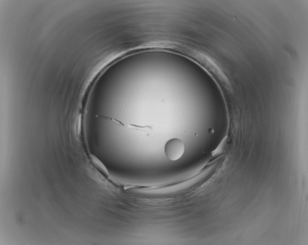 X0000115691276200911121300