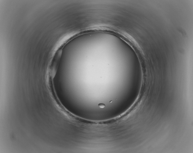 X0000115691277200911121300