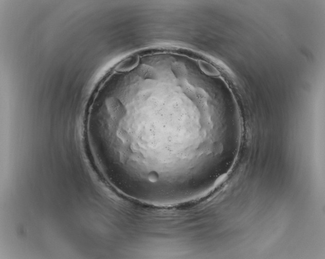 X0000115691279200911121300