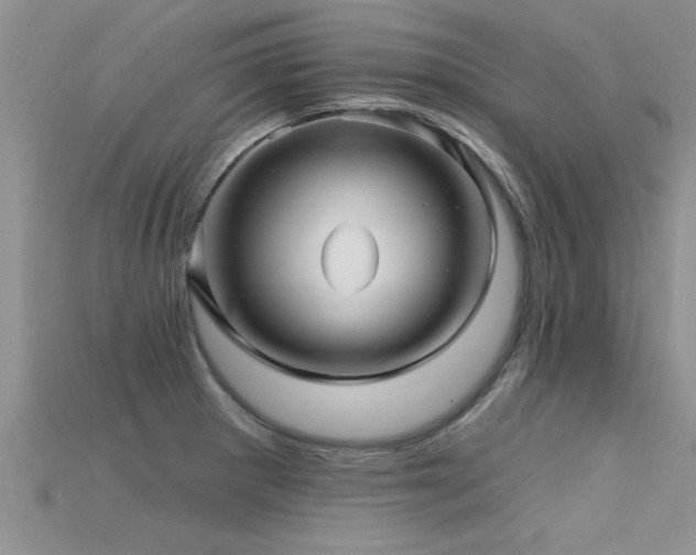 X0000115691281200911121300