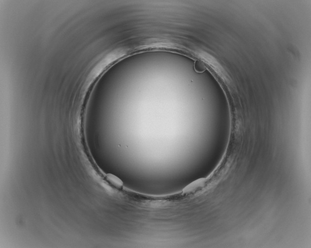 X0000115691282200911121300