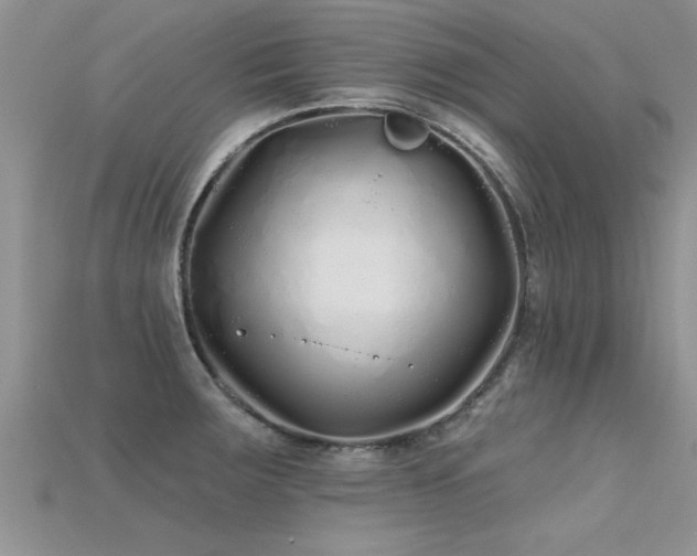 X0000115691283200911121300