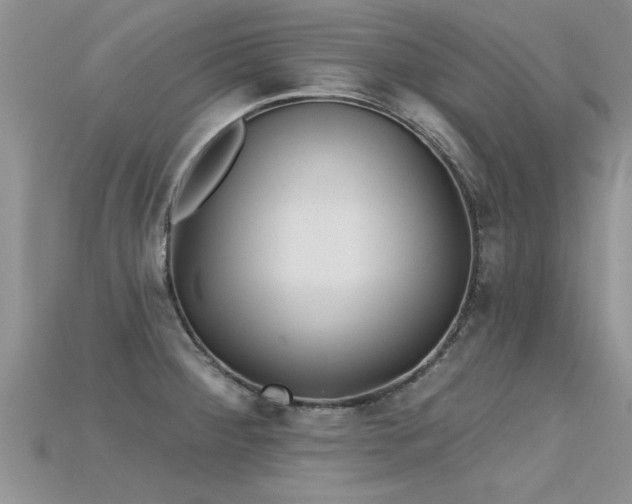X0000115691284200911121300