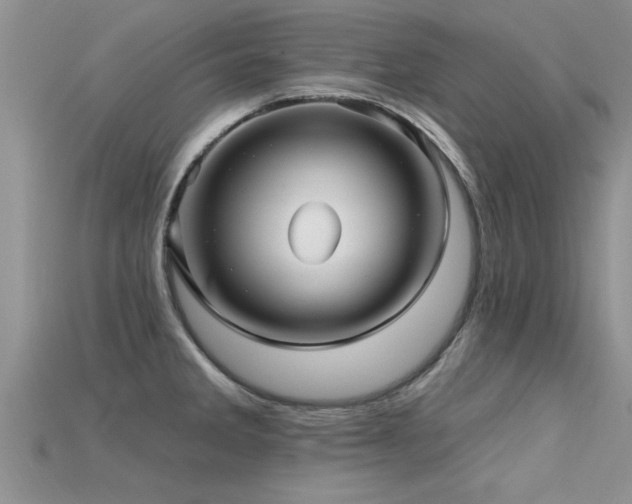X0000115691285200911121300