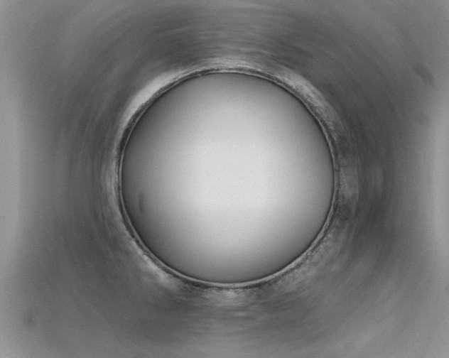 X0000115691286200911121300