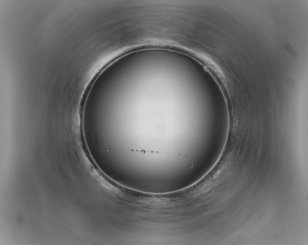 X0000115691287200911121300