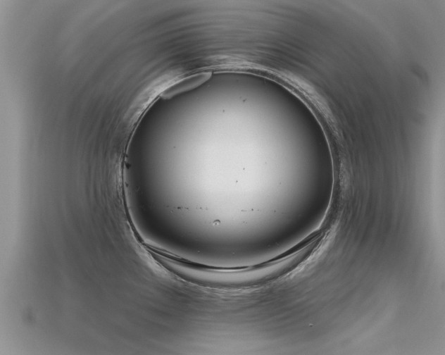 X0000115691289200911121300