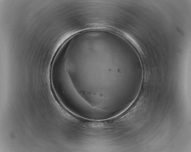X0000115691291200911121300