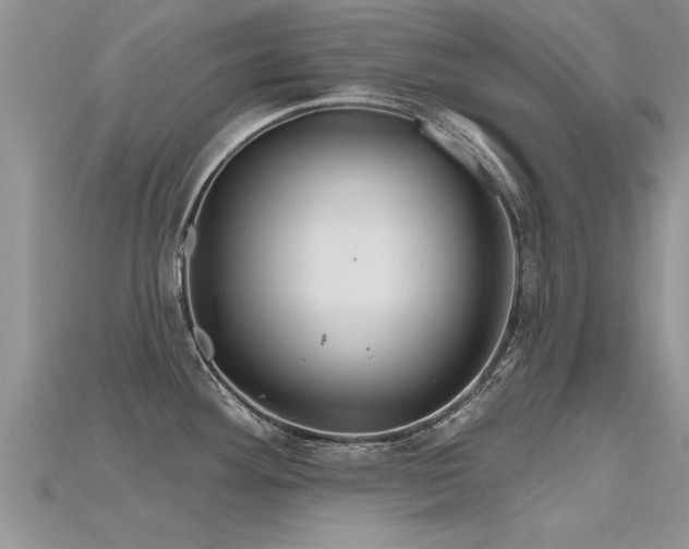 X0000115691292200911121300