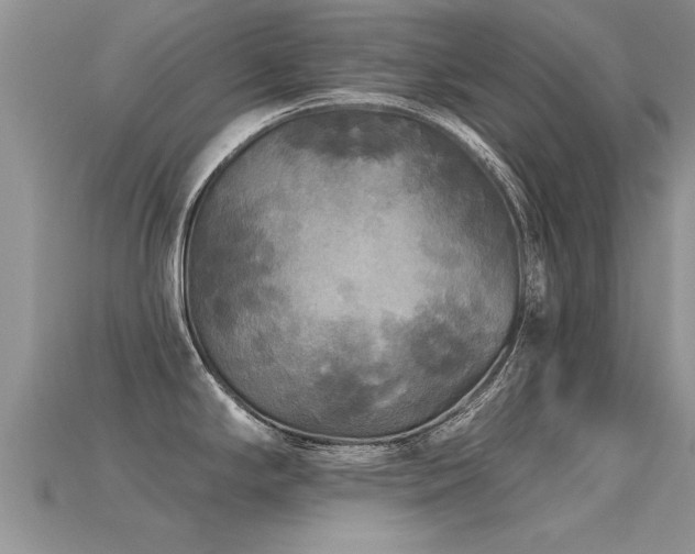 X0000115691294200911121300