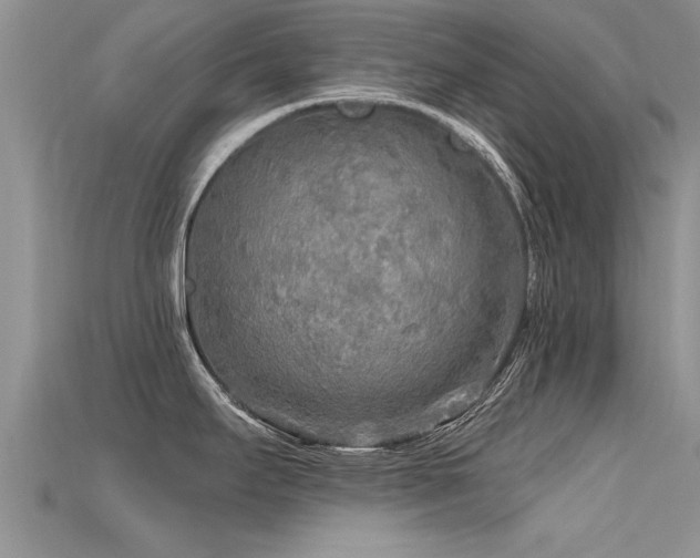 X0000115691295200911121300