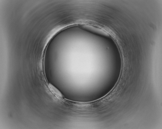 X0000115691296200911121300