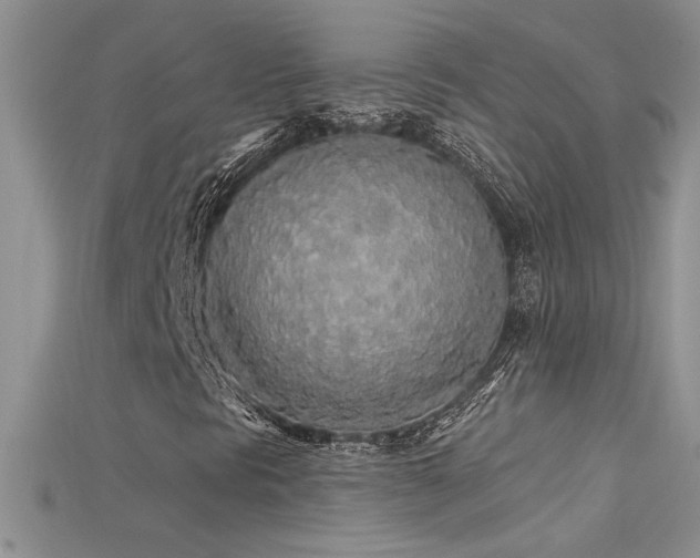X0000115691297200911121259