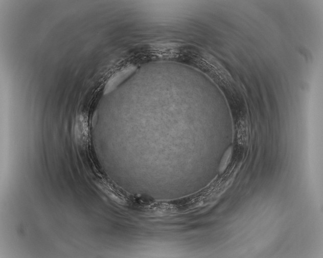 X0000115691298200911121259