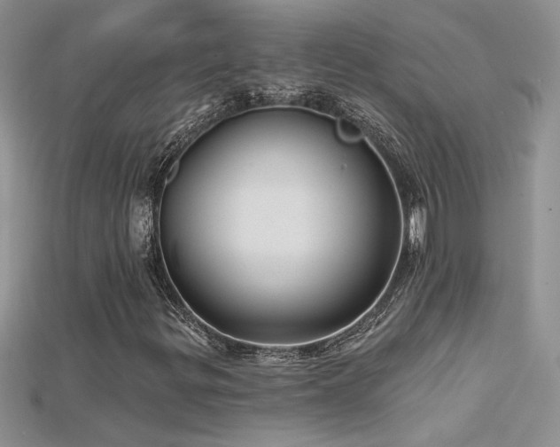 X0000115691299200911121259