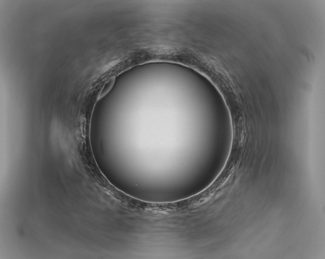 X0000115691301200911121259